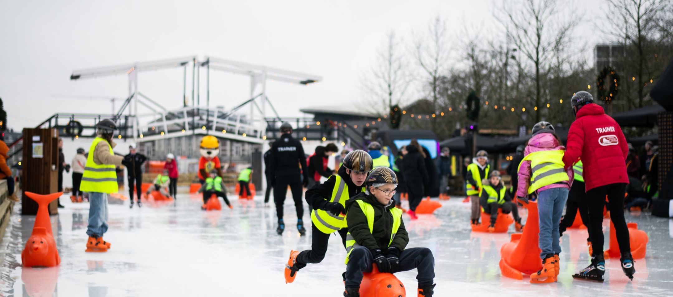 WIEBESIETZE 20260115 130556 SKA WSP 2405