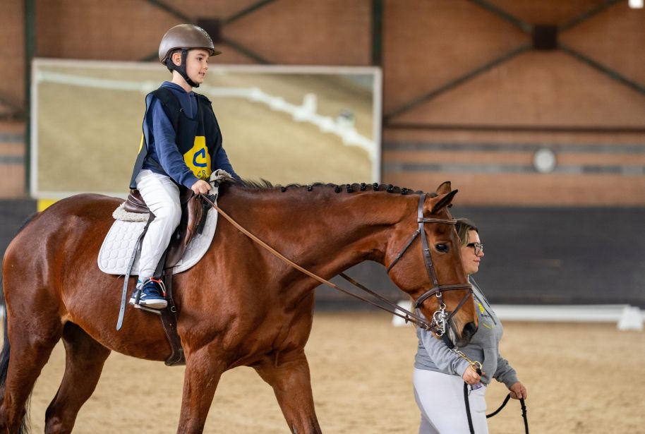 Final de la Lliga de doma paralimpica thumbnail