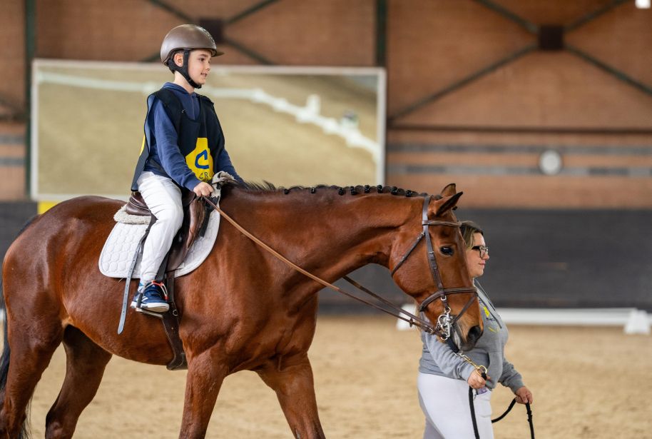 Final de la Lliga de doma paralimpica thumbnail